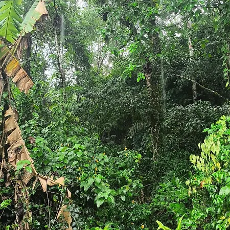 RECANTO DAS PEDRAS Paraty-2
